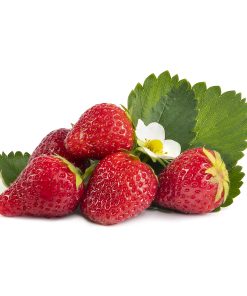 Ostara aardbeien van aardbeiplanten