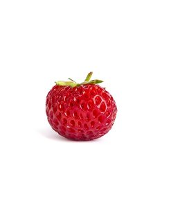 Mieze Schindler aardbei van aardbeienplantje.nl