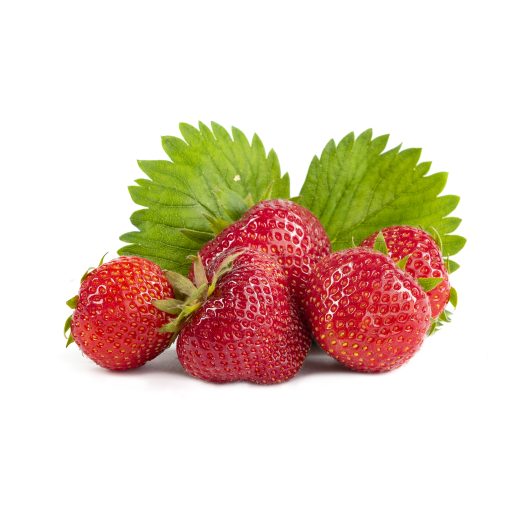 Elsanta aardbeien van aardbeiplanten