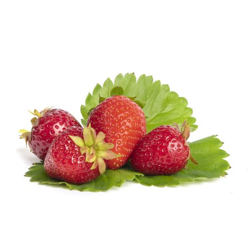Lambada aardbeien van aardbeiplanten