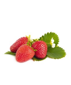 Furore aardbeien van aardbeiplanten