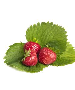 Faith aardbeien van aardbeiplanten