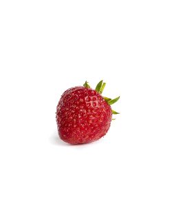 Senga Sengana aardbei van aardbeiplantje.nl