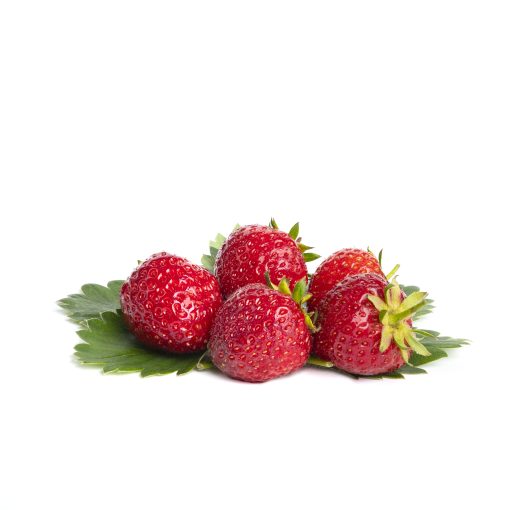 Senga Sengana aardbeien van aardbeienplanten