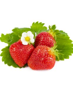 Favori aardbeien van aardbeienplanten