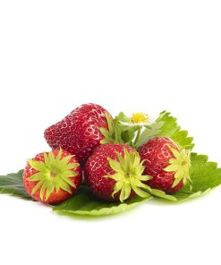 Mara des Bois aardbeien van aardbeienplant