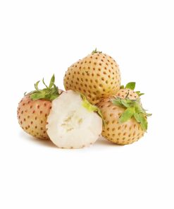 Snow White aardbeien van aardbeienplant