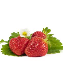 Favori aardbeien van aardbeiplanten