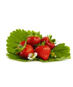 Dahli aardbeien van aardbeiplanten