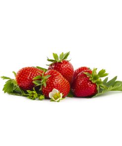 Rumba aardbei van aardbeienplant