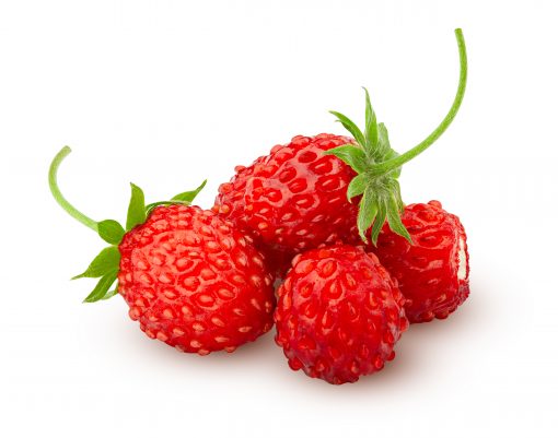 Reine des Vallees aardbeien van aardbeiplanten
