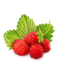 Reine des Vallees aardbeien van aardbeiplanten
