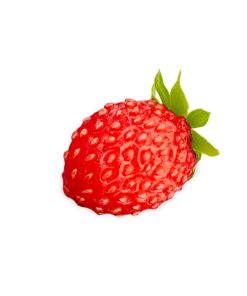 Reine des Vallees aardbei van aardbeiplantje.nl