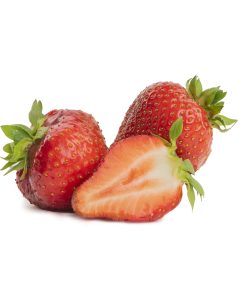 Maxim aardbeien van aardbeiplanten