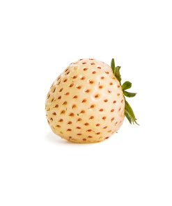 Snow White aardbei