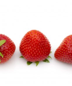 Verdi aardbeien van aardbeiplanten