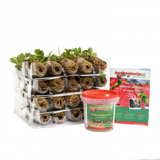 Smulpakketten powerplants, 40 en 80 stuks