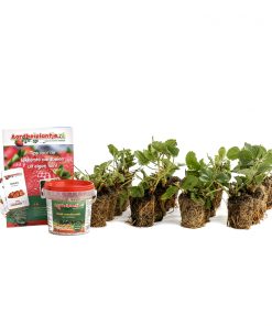 Smulpakketten powerplants, 20 stuks, met steeketiketten