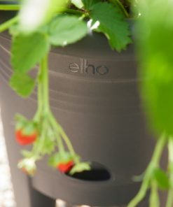 elho Aardbeienpot 33cm zwart – close-up afbeelding