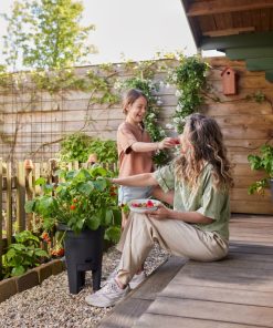 Iedereen kan genieten van zelfgekweekte aardbeien in de elho Aardbeienpot