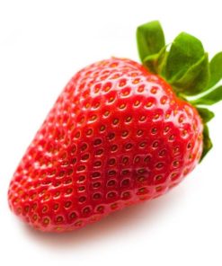 Maxim aardbei van aardbeiplantje.nl