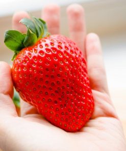Maxim aardbei is een hand vol