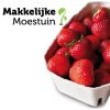 Makkelijke Moestuin Aardbeien Smulpakket