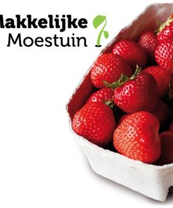 Makkelijke Moestuin Aardbeien Smulpakket