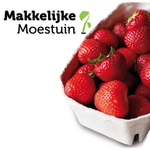 Makkelijke Moestuin Aardbeien Smulpakket
